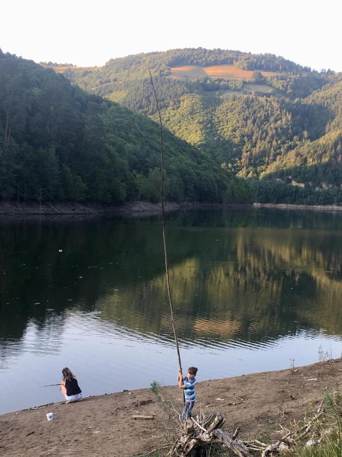Cabana Baraj Apuseni Mountains Mihoesti Екстериор снимка
