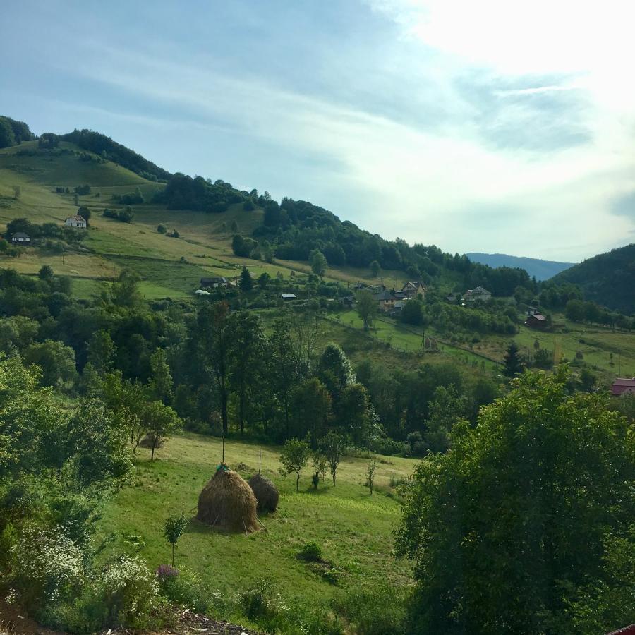 Cabana Baraj Apuseni Mountains Mihoesti Екстериор снимка