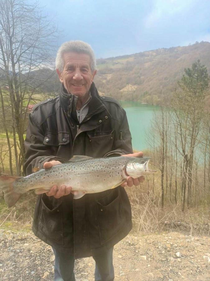Cabana Baraj Apuseni Mountains Mihoesti Екстериор снимка