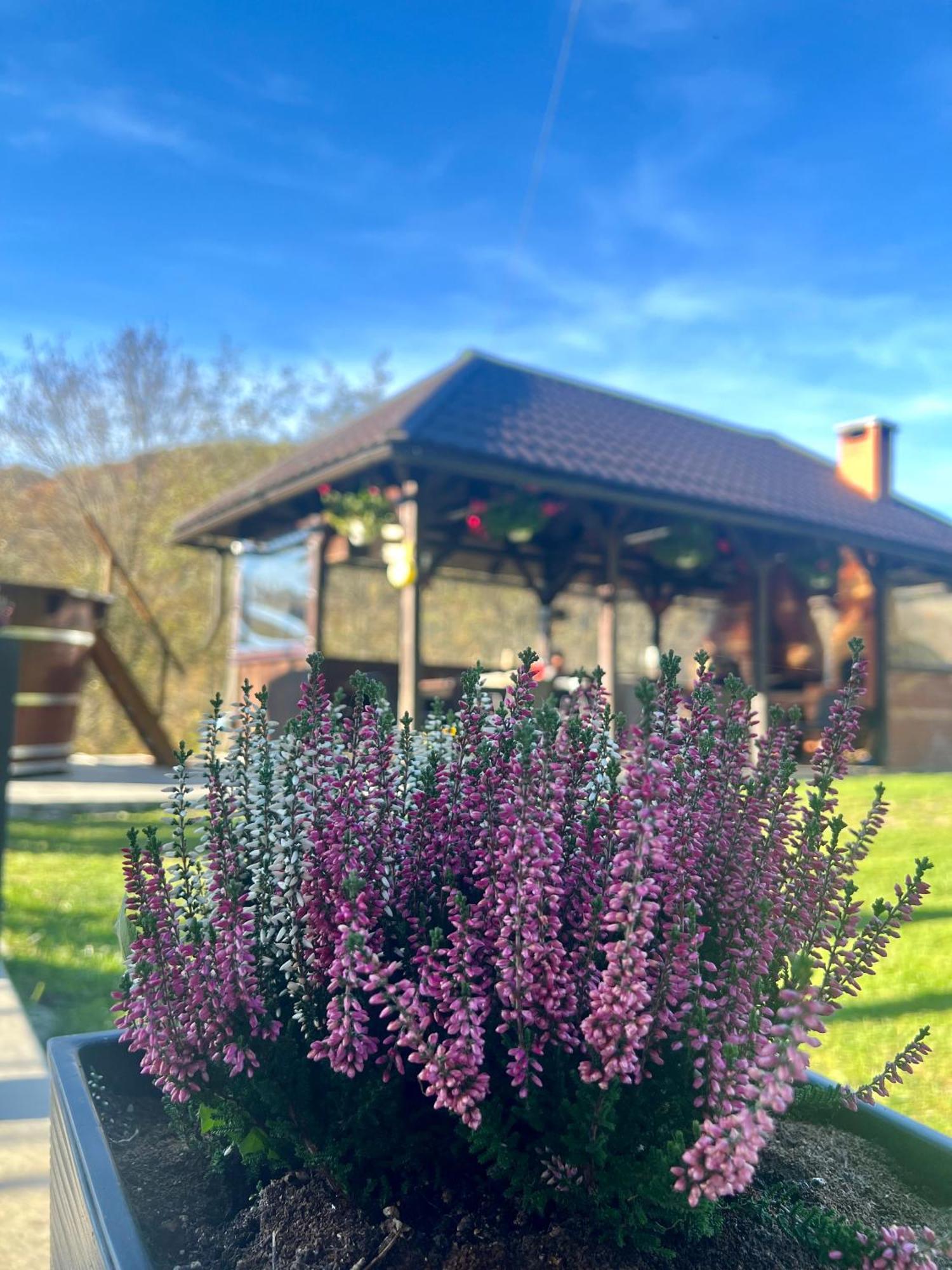 Cabana Baraj Apuseni Mountains Mihoesti Екстериор снимка