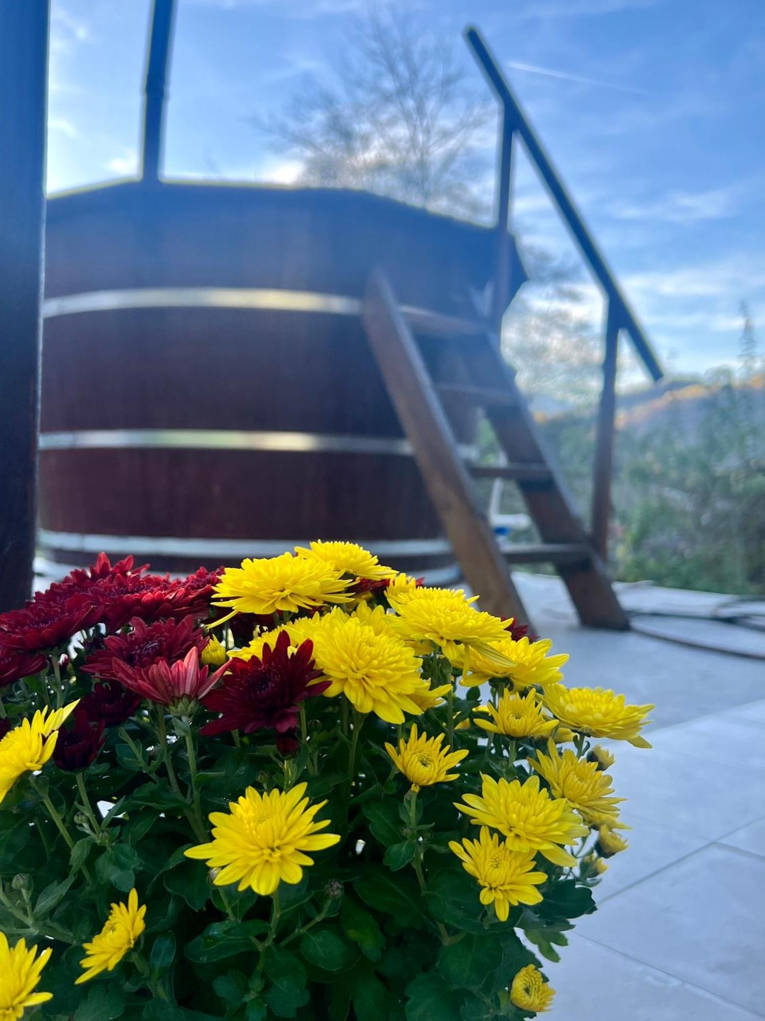 Cabana Baraj Apuseni Mountains Mihoesti Екстериор снимка